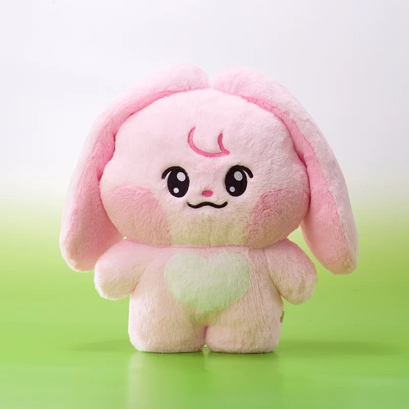 NCT DREAM Official Dreamiez BIG FLAT CUSHION – kheartshop