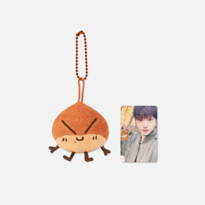 NCT DREAM チソン JISUNG 栗 MD グッズ クッション トレカ