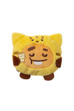 BTS BT21 JAPAN - Official Motto Hug Hot Water Bottle 35cm / 14inch