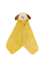 BTS BT21 JAPAN - Official Motto Hug Blanket