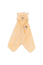 BTS BT21 JAPAN - Official Motto Hug Blanket