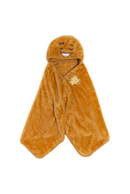 BTS BT21 JAPAN - Official Motto Hug Blanket