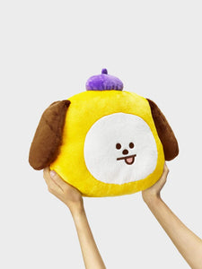 BT21 Official Hope in Love Big Face Cushion