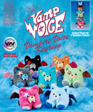 ENHYPEN - THE SIN : VANISH 7th Mini Album VOICE KEYRING VER Ver