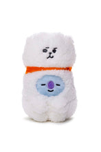 BT21 JAPAN - Official Full Of RJ Plush Doll 20cm Special Edition