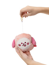 BT21 JAPAN - OFFICIAL HEARTFUL JOURNEY FACE PASS CASE