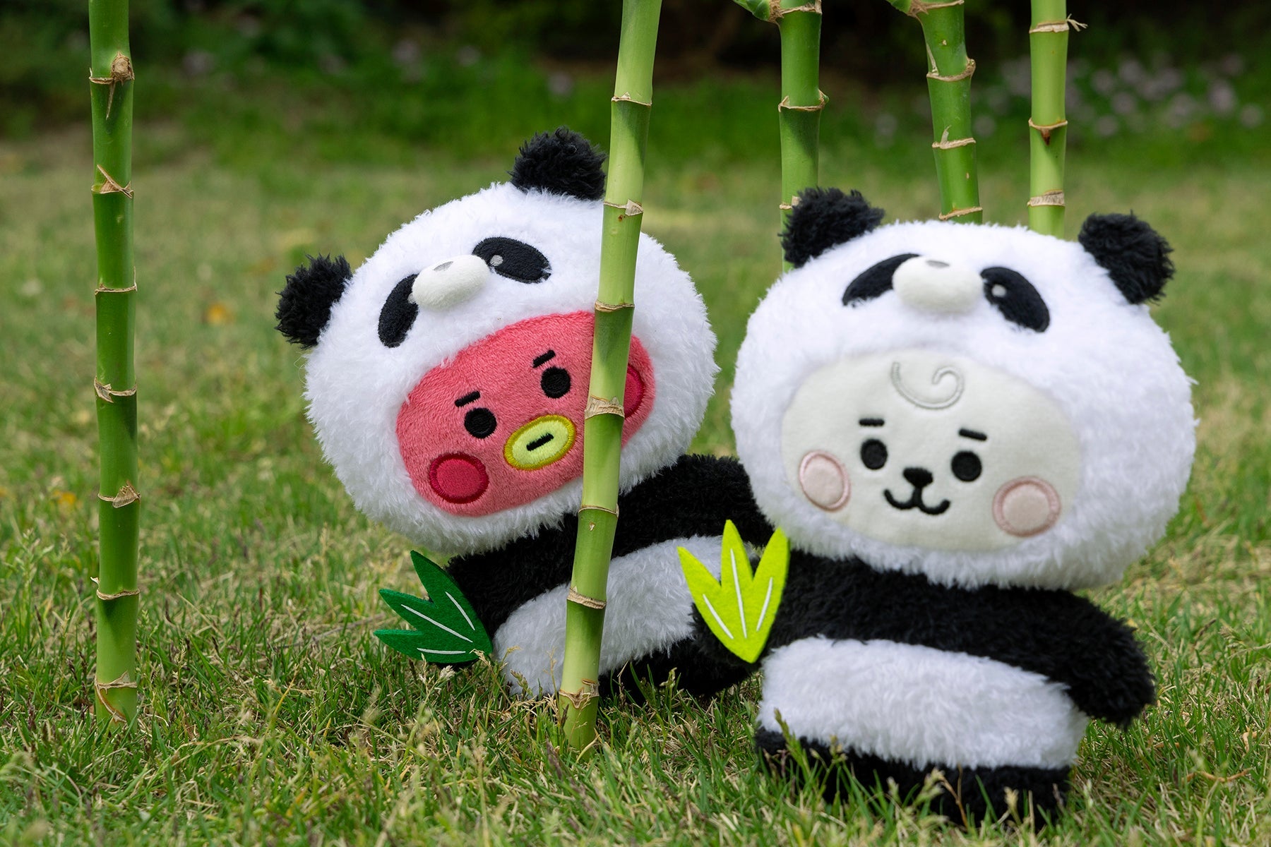 BT21 JAPAN - Official Baby Panda Tatton S Size 20cm – kheartshop