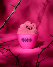 TOMORROW X TOGETHER - 7TH YEAR : When The Wind Paused Among The Thorns POP UP Official MD