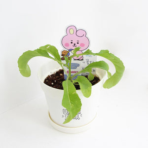BT21 Official My Little Buddy Seed Stick Set