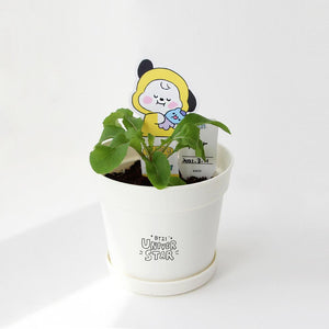 BT21 Official My Little Buddy Seed Stick Set