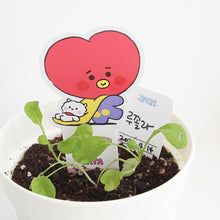 BT21 Official My Little Buddy Seed Stick Set