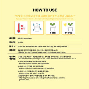 BT21 Official My Little Buddy Seed Stick Set