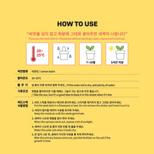 BTS Official TinyTAN Seed Stick Set