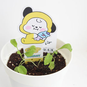 BT21 Official My Little Buddy Seed Stick Set