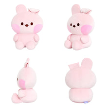 BT21 Official Minini Cuddle Cushion